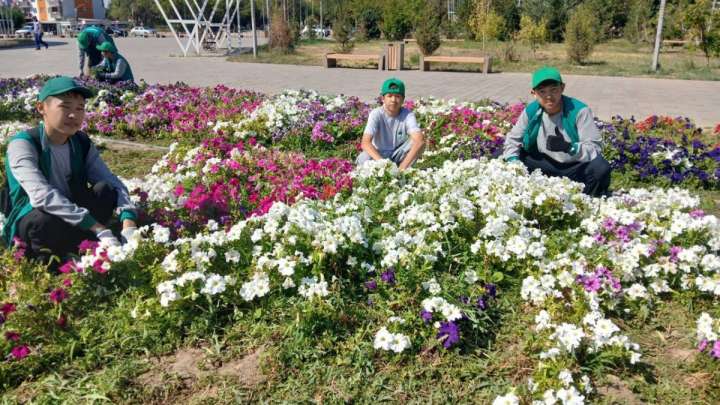 «Таза Қазақстан»: Ұлытау облысында экологиялық іс-шаралар өтті