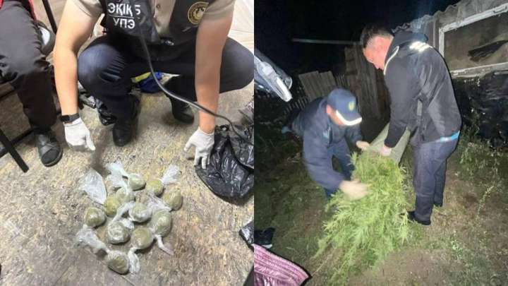 Қостанай облысында қарасора өсірген тұрғын ұсталды