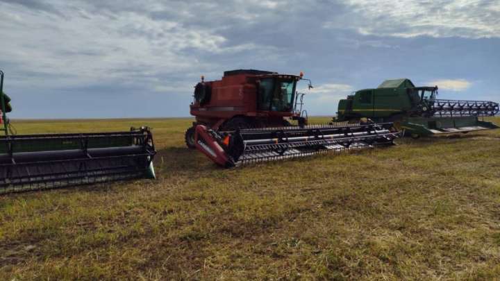 Жолдау-2024: Үкіметтің ағымдық есебіне үңілсек