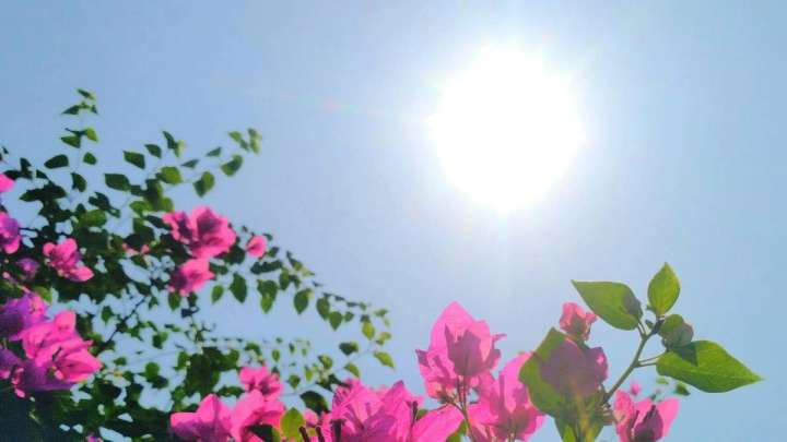 28 тамызда ауа райы қандай болады