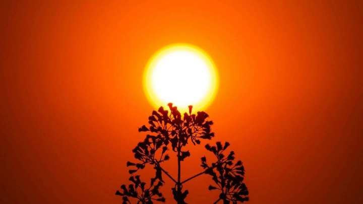 29 тамызда +38°С-қа дейін аптап ыстық болады