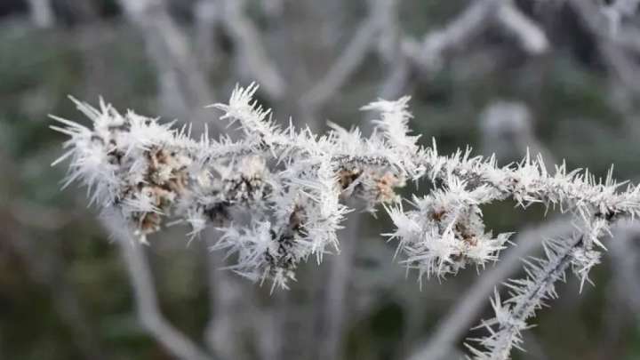 5 қыркүйекте бірқатар өңірде үсік жүреді