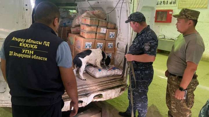 Елімізде есірткімен байланысты қылмыс саны 2,8% өскен