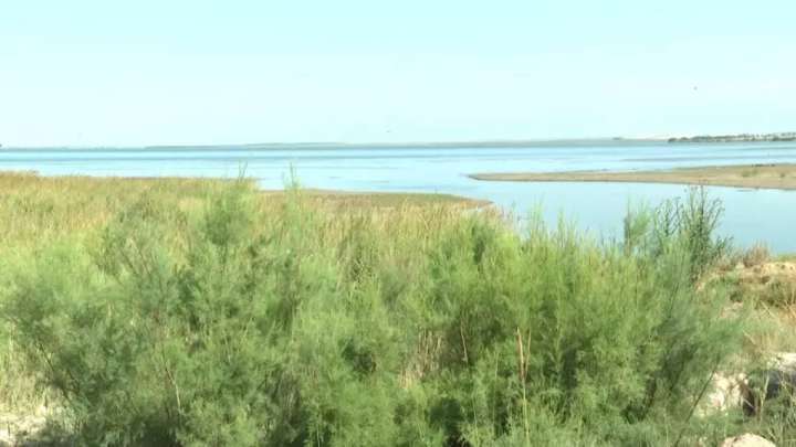 Экологиялық бомба. Депутат Қасқарауов үкіметтен Сорбұлаққа назар аударуды талап етті