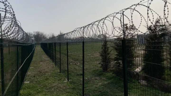 Жамбыл облысының шекарасында атыс болды ма? ҰҚК жауабы