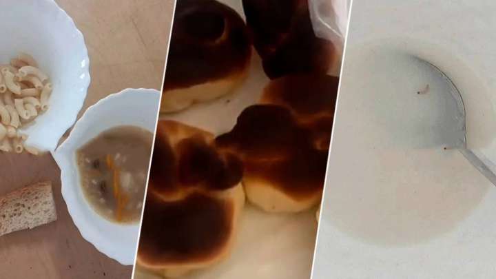 Талдықорғандағы жекеменшік балабақшада жәндік қаптап кеткен