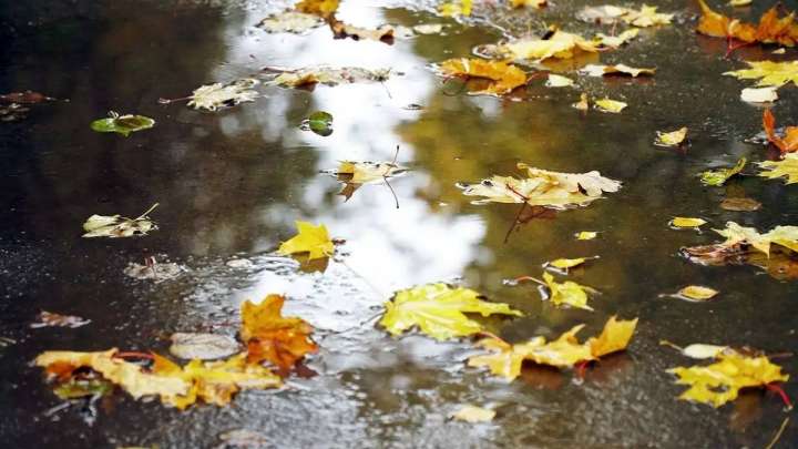 12 қыркүйекке арналған ауа райы болжамы жарияланды