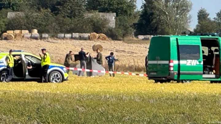Польша НАТО-дан дрондарға қарсы қару-жарақ сұрады