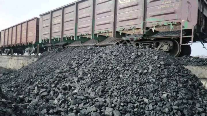 Салық төлеуден жалтарған ірі көмір өндіруші кәсіпорын анықталды