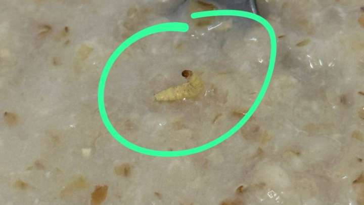 Елордадағы инфекциялық ауруханадағы тамақтан құрт шықты