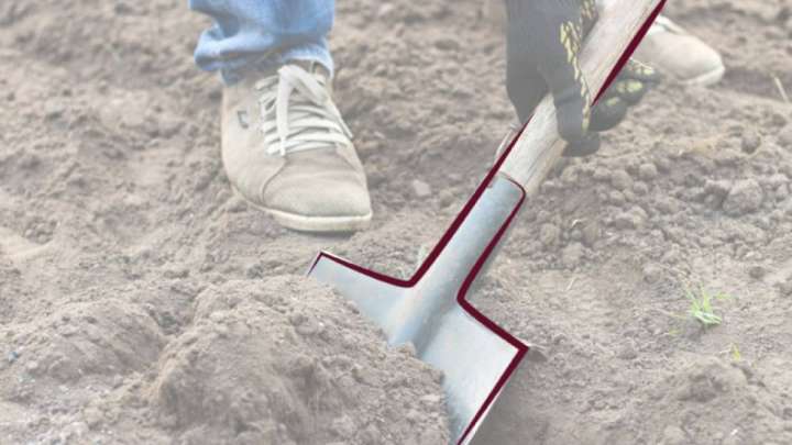 Қабір қазудан жарыста мажарлар тағы қара үзді