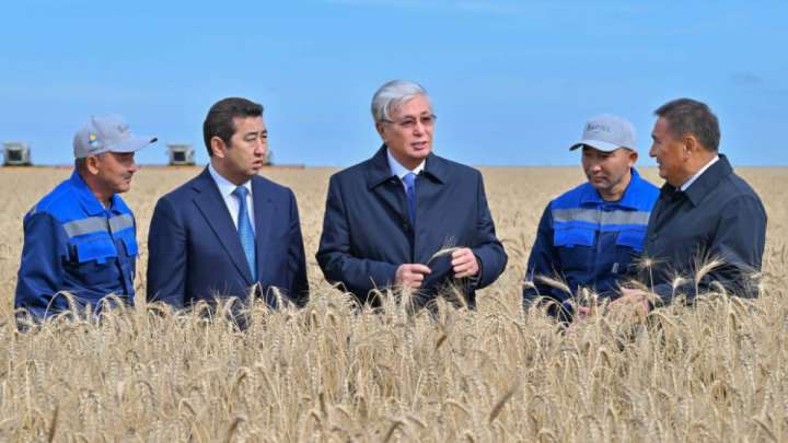 Тоқаев: Ауыл шаруашылығына бөлінген әрбір теңге нақты нәтиже беруі тиіс