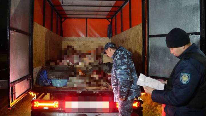 Қарағанды облысында 20 мобильді бекет қойылды