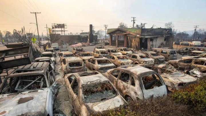 «Шал, одан да дәріңді іш». Саясаткер президентке жауап жазды