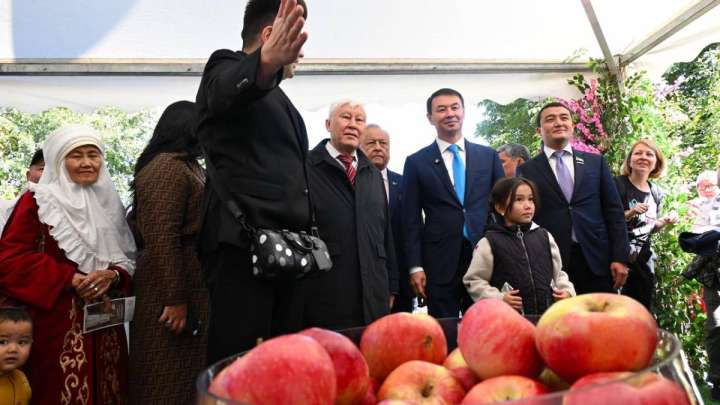 Alma Fest-2025 Алматы күніне орай 100 мыңға дейін қонақ қабылдайды