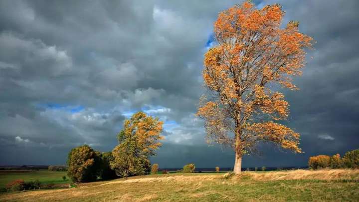28 қыркүйекке арналған ауа райы болжамы жарияланды