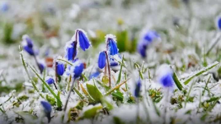 Бүгін қар жауып, үсік жүреді