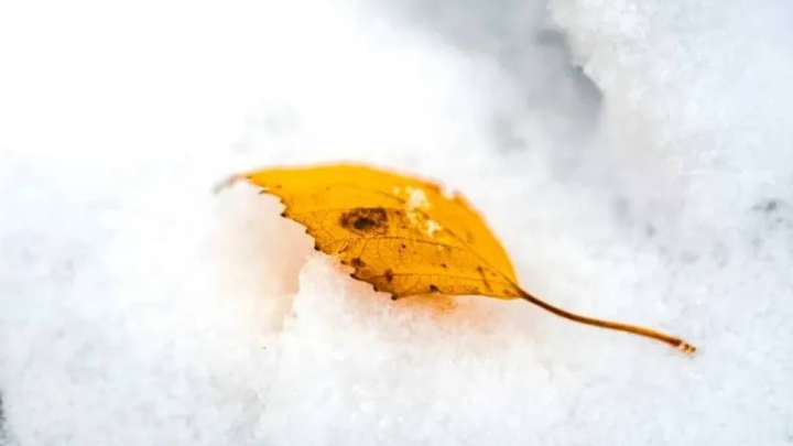 2 қазанда күн суық болып, үсік жүреді