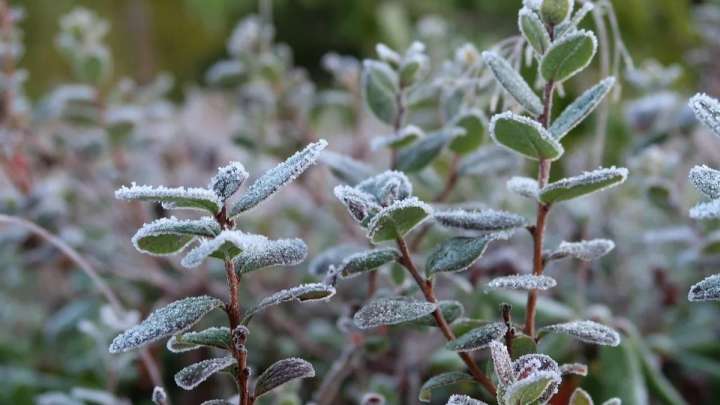 Аяз, дауыл... Күн райы құбылып тұр