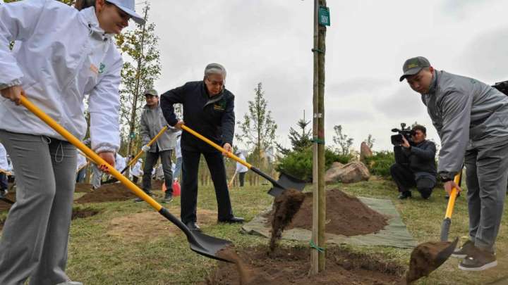 Тоқаев Ботаникалық саябақта ағаш екті