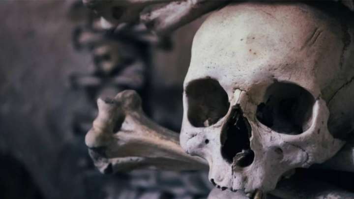 Шымкентте дүкен маңынан адам сүйегі шықты