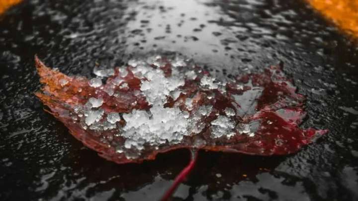 11 қазанға арналған ауа райы болжамы