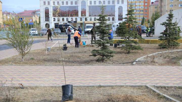 «Таза Қазақстан» акциясы аясында Ақтөбе өңірінде 7300-ге жуық көшет егілді