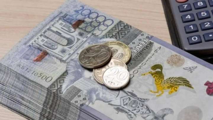 Көпбалалы отбасылар мен марапатталған аналар 449 млрд теңге жәрдемақы алды