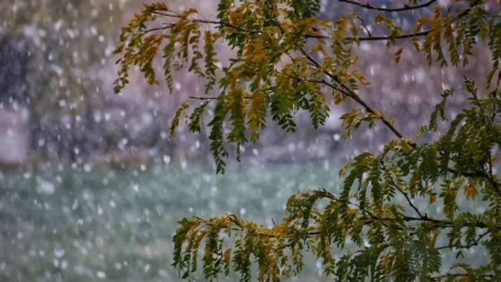 Қазақстанның бірнеше облысында қатты жел болып, үсік жүреді