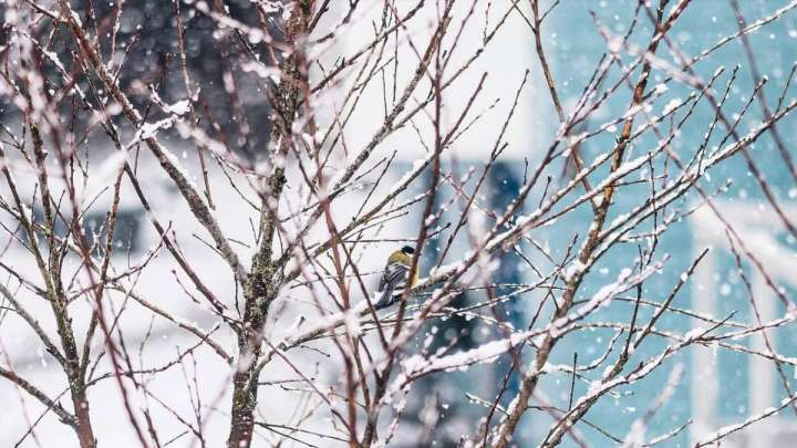 19 қазанға арналған ауа райы болжамы жарияланды