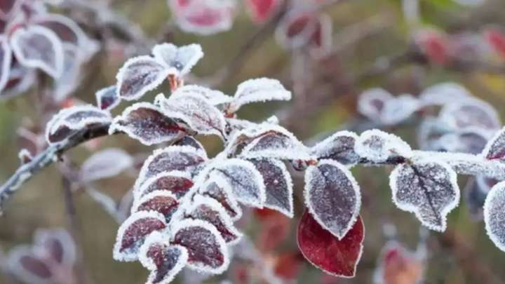 22 қазанға арналға ауа райы болжамы