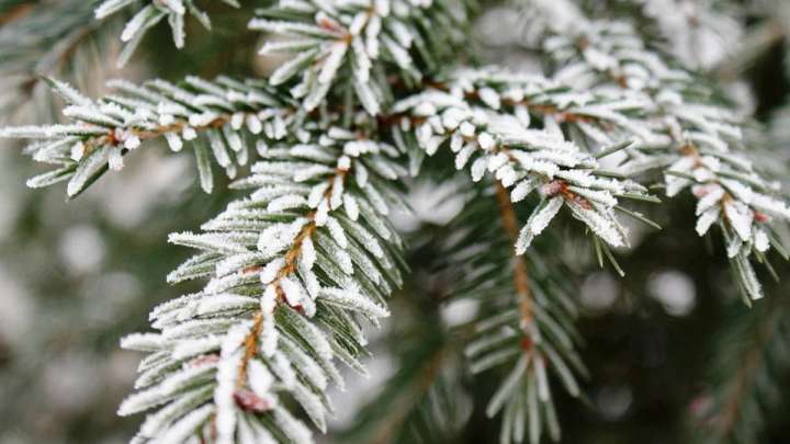 Синоптиктер бүгін ауа райы қолайсыз болатынын ескертті