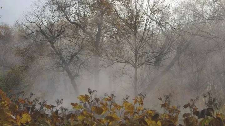 23 қазанға арналған ауа райы болжамы жарияланды