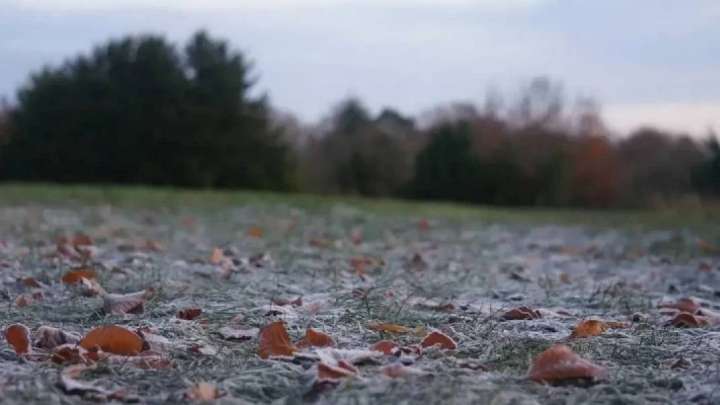 25 қазанға арналған ауа райы болжамы жарияланды