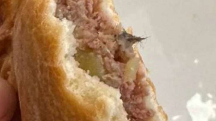 Бәліш ішіндегі тышқанның жүні. Мектеп асханасы жабылды