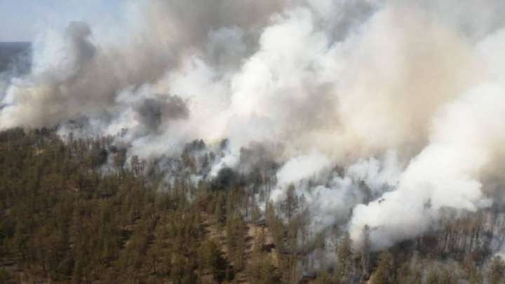 Орман өрті едәуір азайды