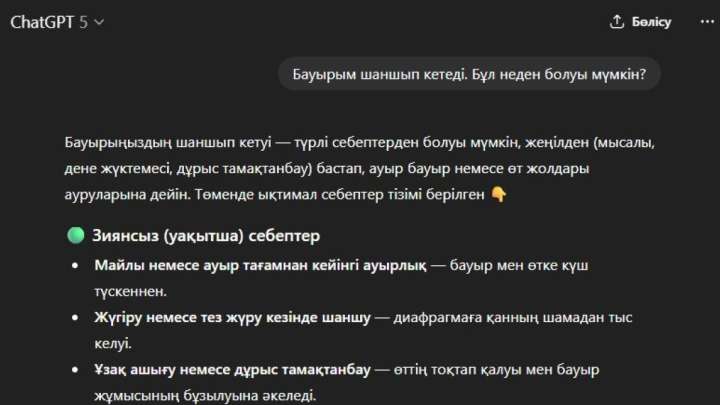 Шымдық азамат ChatGPT-ді тыңдаймын деп,  ауруын асқындырып алған