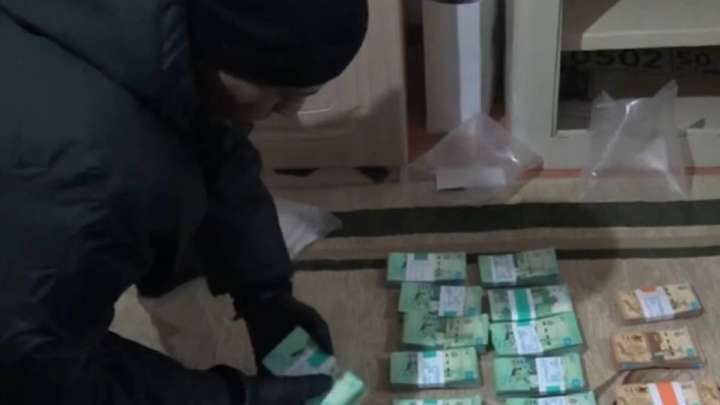 Жалған құжатпен 254 млн теңгеге балық экспорттаған кәсіпорын басшылары сотталды