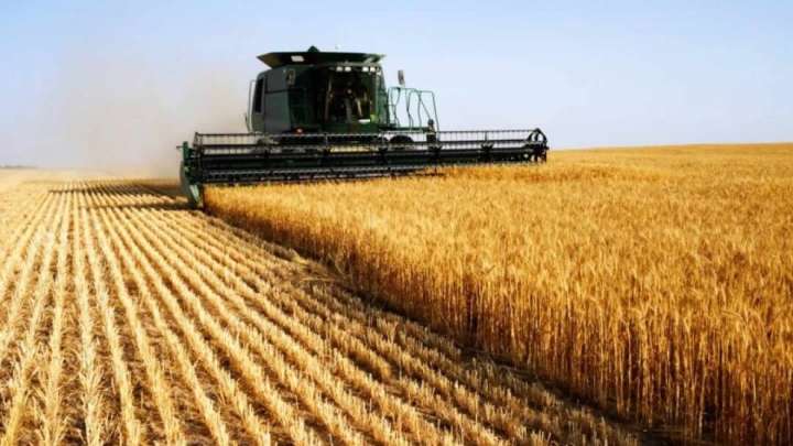 Кәсіпкерлікті қолдауға бөлінген 2.2 трлн теңге қалай игеріліп жатыр?