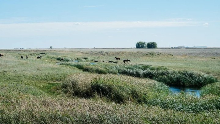 Құны 300 млн теңге тұратын жер заңсыз сатылып кеткен