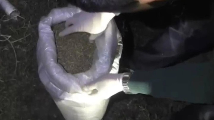 Жамбыл облысында есірткі тасымалдады деген айыппен екі күдікті ұсталды