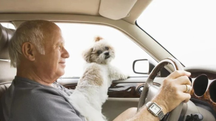 Қыдырып жүріп, 62 жастағы кемпірін жол бойында ұмытып кеткен