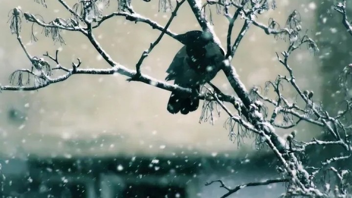 22 қарашада ауа райы қандай болады