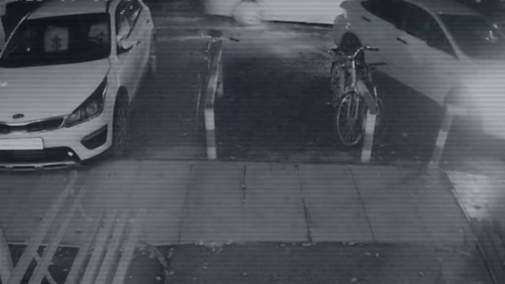 Полиция Яна Легкодимованың өліміне қатысты бейнежазба жариялады /видео/