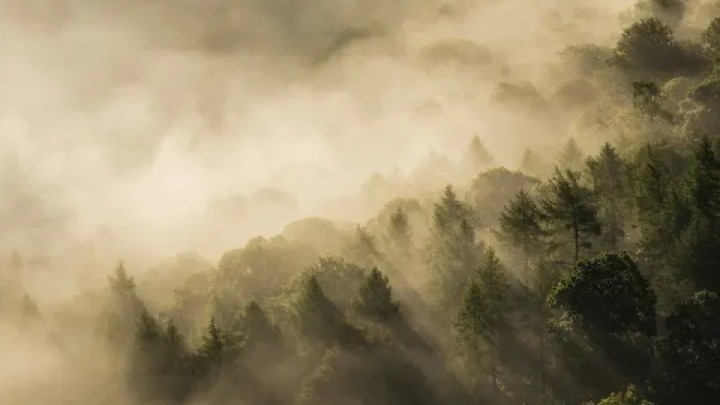 25 қарашада ауа райына байланысты ескерту жасалды