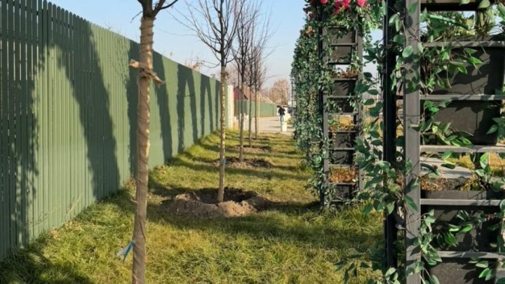 «Таза Қазақстан»: Алматының Жетісу ауданында көгалдандыру жалғасып жатыр