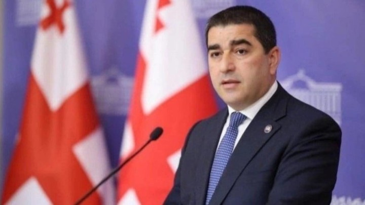 «Химиялық қару» туралы жалған ақпарат. Грузия Еуроодақтан кешірім сұрауды талап етті