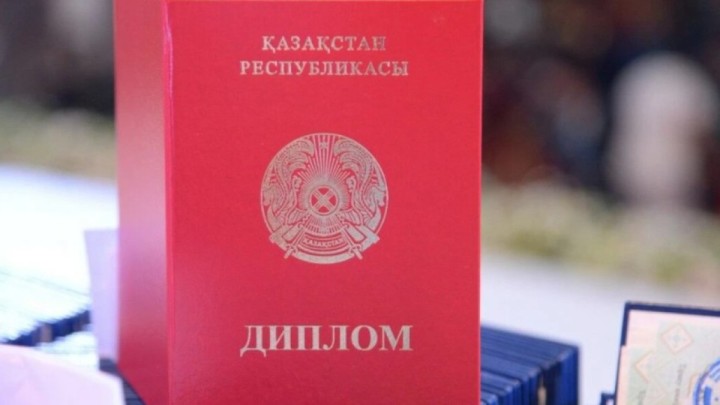 Жалғын диплом жасаған 20 интернет-ресурс анықталды