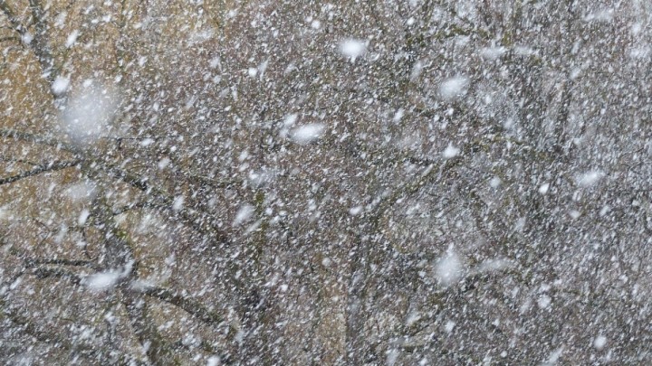 6 желтоқсанда бірқатар өңірінде боран, көктайғақ пен тұман күтіледі