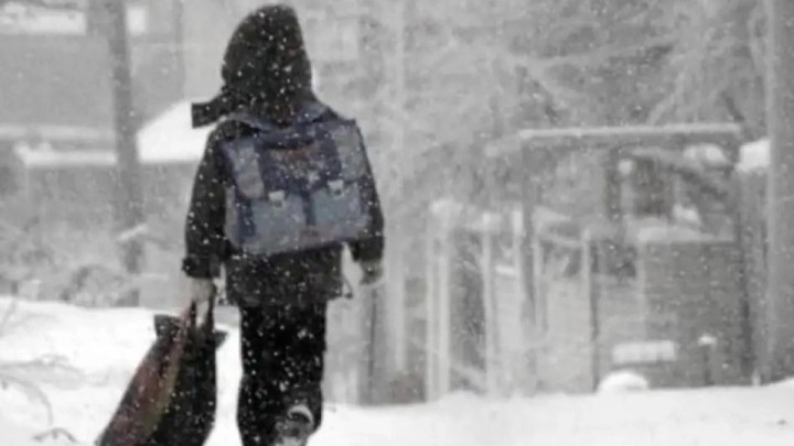 Қостанай облысында аязға байланысты 1-сынып оқушылары қашықтан оқиды